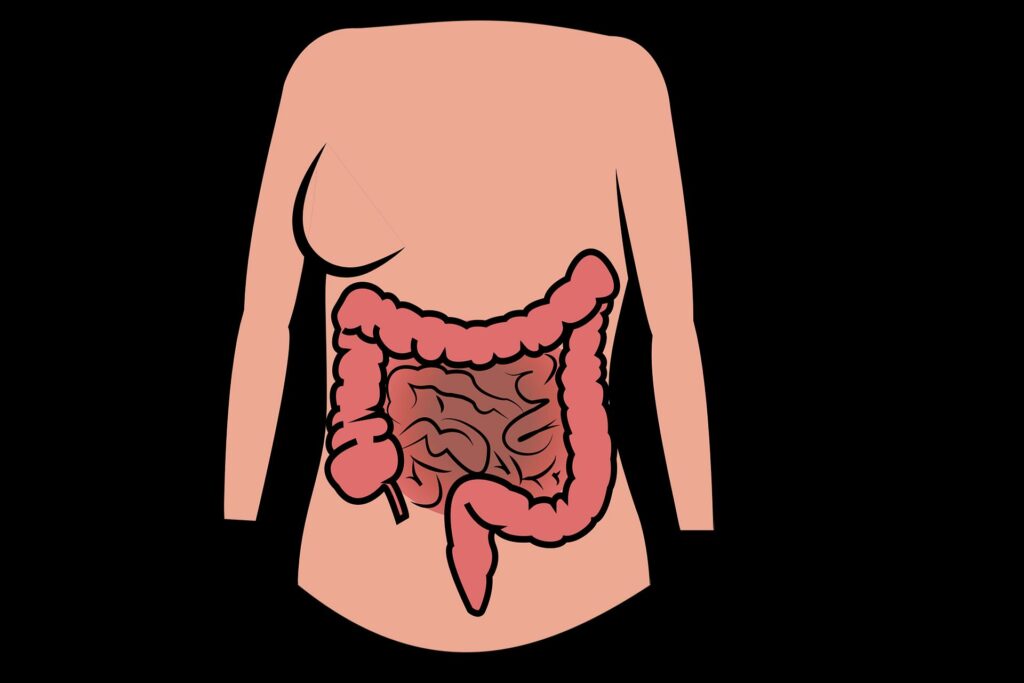 gut health